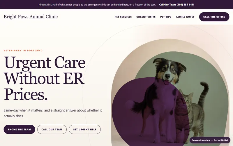 The opening screen of the Bright Paws Animal Clinic sample