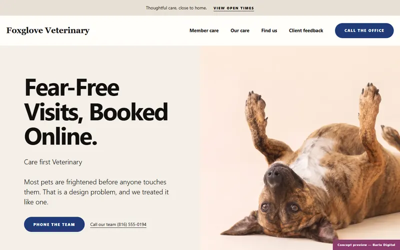The opening screen of the Foxglove Veterinary sample